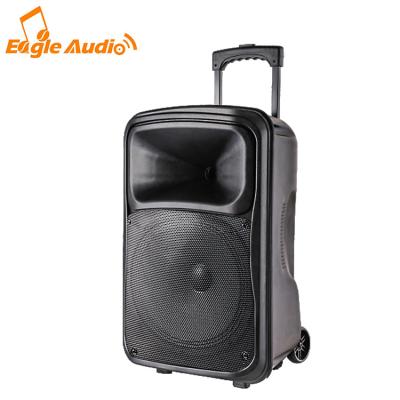 China Bass High Power Trolley Audio Speaker Party Trolley Battery Speaker for sale