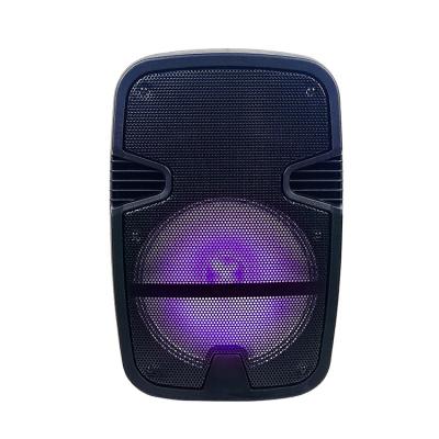 China BT DJ Waterproof Party Speaker Karaoke Cart Portable Wireless Outdoor Bass Speaker 8 Inch for sale