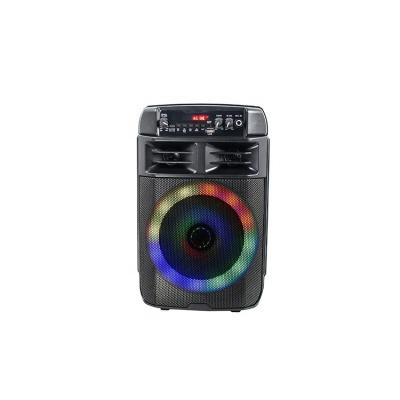 China No 8 Inch Outdoor Portable Wireless BT Speaker With FM SD USB for sale