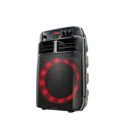 China No 8 Inch Portable Speaker with Wireless BT with Karaoke Player for sale