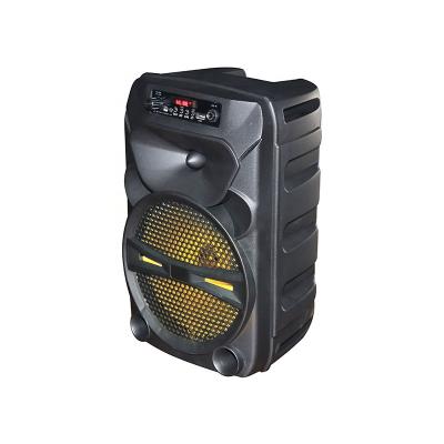 China No Eagle Audio ktv microphone portable karaoke mobile speaker with usb port for sale