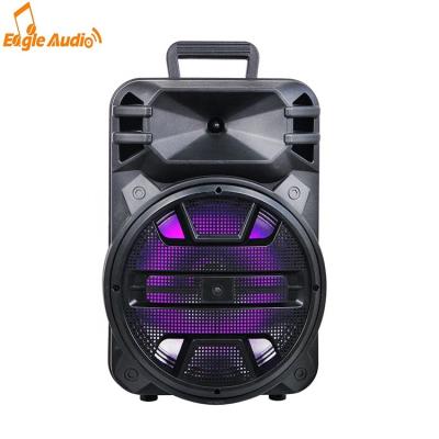 China No 12 Inch Portable BT Speaker Music Sound System for sale