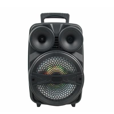 China No Eagle Audio 8 Inch Portable LED Light Home Speaker with USB BT FM TF for sale