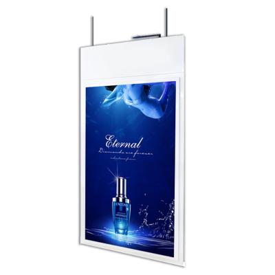 China Best Price 55Inch Window Shop Interior Indoor Ceiling Mount Transparent Double Screen for sale