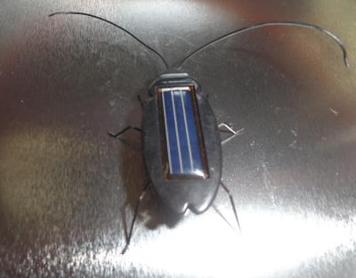 China La cucaracha solar juega, los juguetes solares de la cucaracha, juguetes solares, cantidad mínima más de 10 PC en venta