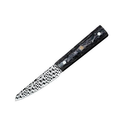 China Viable 3.5 Inch Laser Blade Japanese Kitchen Paring Knife Fruit Vegetable Knives for sale