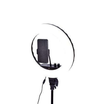 China Beauty Salon/New Home Led Ring Light Self Timer With Net Tripod Living Sufficiency With Tripod Ring Light Ring Light Phone for sale