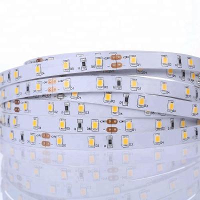 China Hotel Factory Price High Quality DC 12v 24v 5m Outdoor Indoor Outdoor Waterproof Rope Light IP20 IP65 IP67 IP68 LED Strip Light for sale