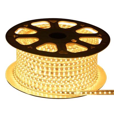 China LANDSCAPE factory price 220V SMD5050 ip65 high voltage waterproof led strip light with outdoor for sale