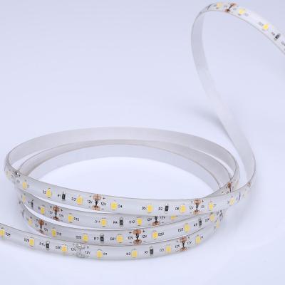 China DC12V 60led/m Cool White Nature White 9.6W/m Residential SMD Warm White 2835 IP65 LED Flex Strip With Home Decoration for sale