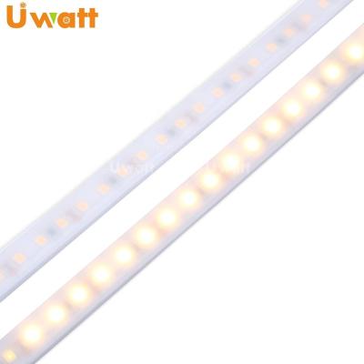 China Custom High Brightness 120led SMD2835 dc12V IP67 Residential Custom White Waterproof LED Strip Lights for Decoration for sale