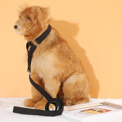 China Reflective Pet Traction P Rope Integrated Traction Belt Racing Dog Rope Nylon Traction Rope for sale