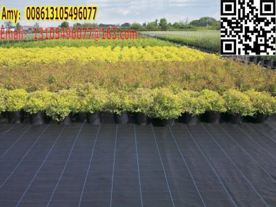 China green house / garden black weed control cover fabric for weed barrier mat for sale