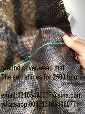 China woven geotextile/Plastic Modling Type Mulch plastic film for agriculture/weed barrier/weed for sale