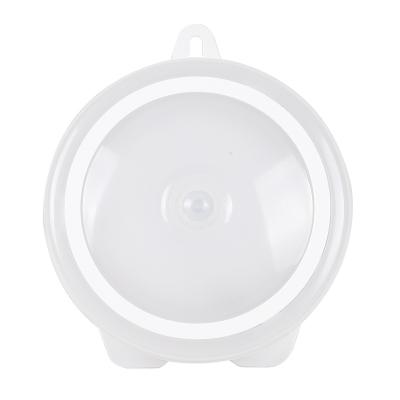 China PIR Night Light Sensor Residential Led Lights Smart Motion Sensor Light With Magnetic Base for sale