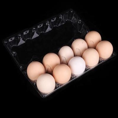 China Food Quail Egg Tray For Supermarket Eggs Factory Price Item Packaging Plastic Clear Disposable Customized Food Color Accept Type for sale