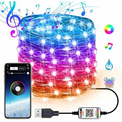 China Light String Smart USB String Light Mobile Phone APP Copper Wiring Light String Holiday Decoration Light String for sale