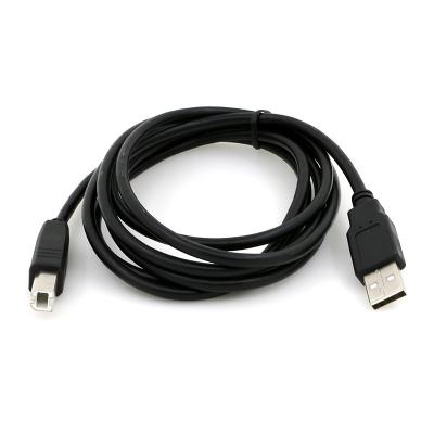 China Electronics Products 2.0 USB Type A Male To Male Straight Type B Printer USB Cable For Printer for sale