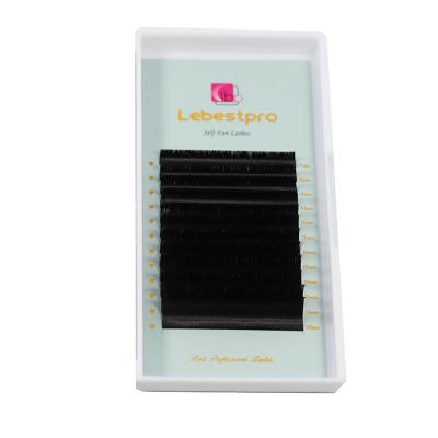 China 100% Factory Wholesale Lebestpro Lashes Handmade Hair False Eyelash Since C cc D Dual Density Loop Eyelash Extension Private Label Korea PBT Easy Fanning Lashes for sale