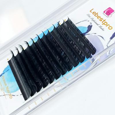 China Lebestpro Long Natural Lashes Factory Wholesale J Since DD L Loop Eyelash Extension Private Label Korea PBT Regular C CC D Lashes for sale