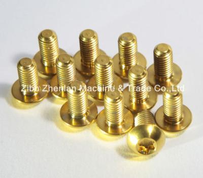 China Titanium GR2 / GR5 Bolts / Screws All Size for sale