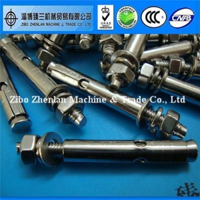 China Stainless Steel M6 M8 M10 M12 M16 Stainless Steel Expansion Anchor Bolt for sale