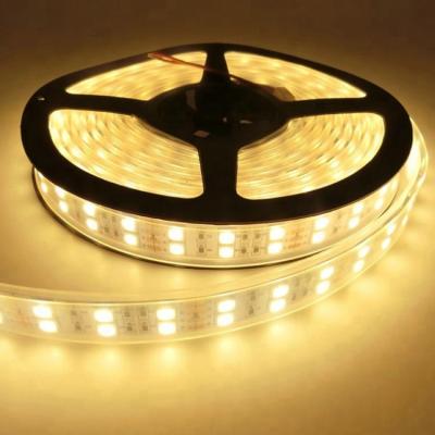 China Good Quality 12v Decoration Double Row 5050 120 Meter Strips Led for sale