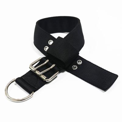 China 2 Inch Wide Dog Workable Collar Black Nylon Training Collar for sale