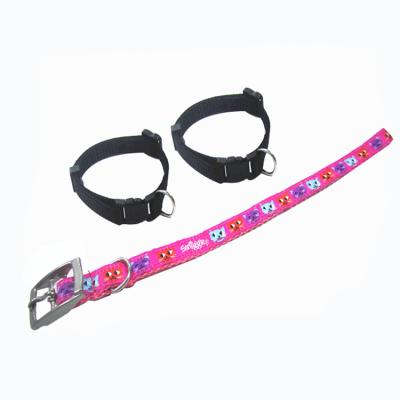 China 10mm Viable Pocket Pet Trainer Collar /Customized Homemade Color Avaible Cat Collars for sale