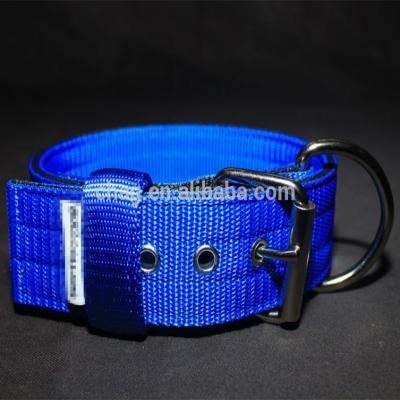 China 2 Inch Durable Sturdy Nylon Webbing Dog Collar For American Pit Bull Terrier for sale