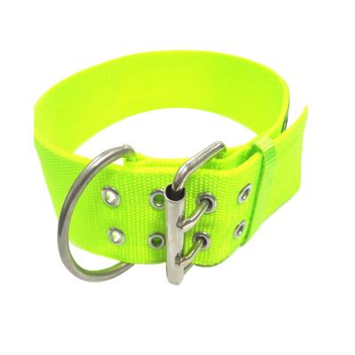 China Personalized 2 Inch Plain Plastic Coated Nylon Dog Collar With Durable Metal Buckle for sale