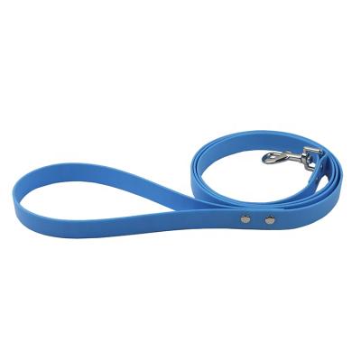 China Viable Waterproof Sky Blue PVC Webbing Dog Leash for sale