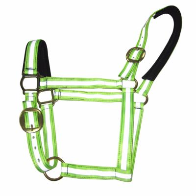 China To light up eco-friendly reflective nylon horse halter with warm foam padding for sale