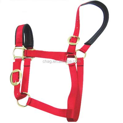 China 2020 Wholesale Eco-Friendly Manufacturer Hot Selling Products Nylon Horse Halter for sale