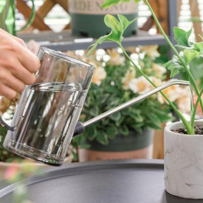 China AS transparent watering cans stainless steel long-mouth watering cans for sale