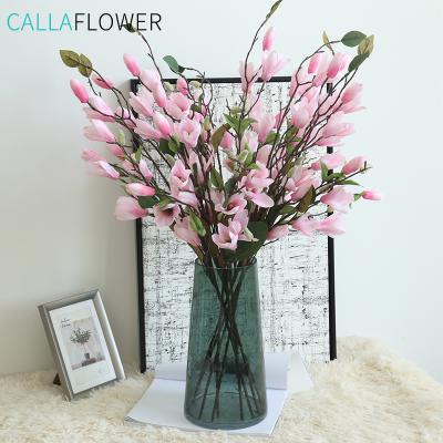 China Eco-friendly Real Touch Artificial Silk Flowers Orchid Magnolia Throw Home Party Wedding Decor DY1-1868 for sale