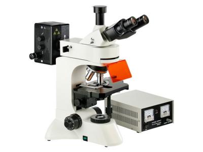 China Upright Trinocular Epi-fluorescent Microscope iL3210X with Bright Field Observation for sale