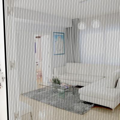 China New Automatic Closing Magnetic Curtain Door Mosquito Net Screen Door With Magnetic for sale