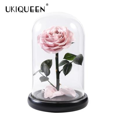 China Durable Crafts Gift UKIQUEEN Factory Wholesale OEM Immortal Flower Preserved Glass Rose for sale