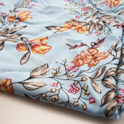 China Viable Online Design Printing Light Blue Ground Rayon Woven Textile Fabric Per Meter Price for sale