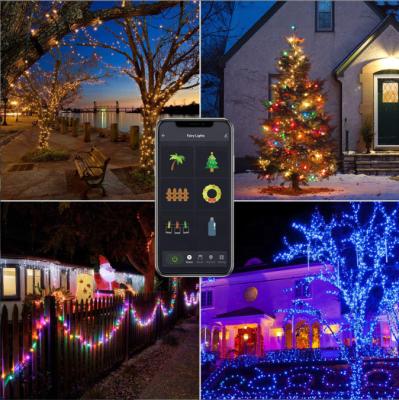 China Outdoor Biumart Tuya RGB Holiday IP65 Light String WIFI BT Dot Light Intelligent Dual Mode Light Dual Mode Control for sale