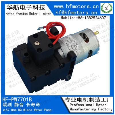 Chine Pompe à eau automatique de l'équipement 12V 57.8mm de nettoyage mini à vendre