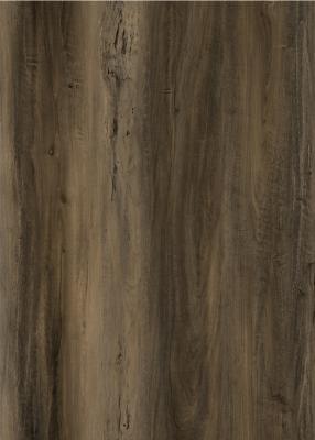 China Unilin Click SPC Wood Flooring Biodegradable Maple Birch Glueless Oak GKBM DG-W50001B en venta