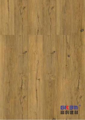 China Haga clic el proceso estadístico de madera que suela el Grail impermeable GKBM Greenpy MJ-W6005 del oro de 5m m en venta