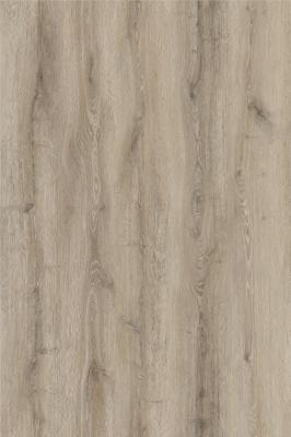 China Pollution Free stone plastic flooring 0.3mm Non Corrosive Unilin Click Belgrade Burlywood Wood Grain GKBM DG-W50003B for sale