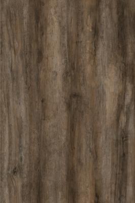 China 0.6mm van de de Kern de Vinylplank van SPC Waterdichte Elegante Esdoorn GKBM DM-W40021 Te koop