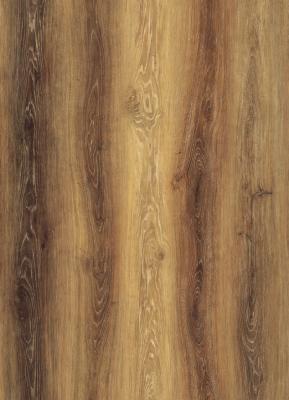 China 5mm 4mm van de de Kern Vinylplank van SPC de Stijve Houtskool Witte Eiken GKBM DM-W40034 Te koop