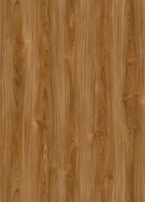 Cina anello di albero composito di plastica di pavimentazione di legno della pietra anti di slittamento di 0.6mm SPC GKBM DP-W82276 in vendita