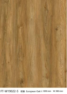 China Eco Friendly Herringbone SPC Click Waterproof Fireproof European Oak Grain GKBM FT-W19022-5 for sale