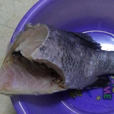 China Frozen Barramundi FROZEN for sale